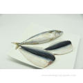 Top Sale Bqf Seafrozen Pacific Mackerel Wr 200-300g